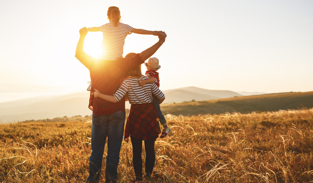 Understanding Wills in Canada: Protecting Your Legacy and Your Family